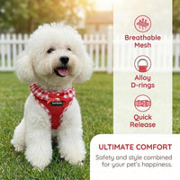 SuperBuddy Upgraded Soft Mesh Dog Harness - XS (Neck Girth 8.6"; Chest Girth: 11"-14") / Passion Red-2 - image 4