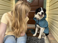 Avont Dog Bathrobe – Super Absorbent Quick-Dry Microfiber Hooded Robe – Essentials for Dogs - Blue / Small - image 2