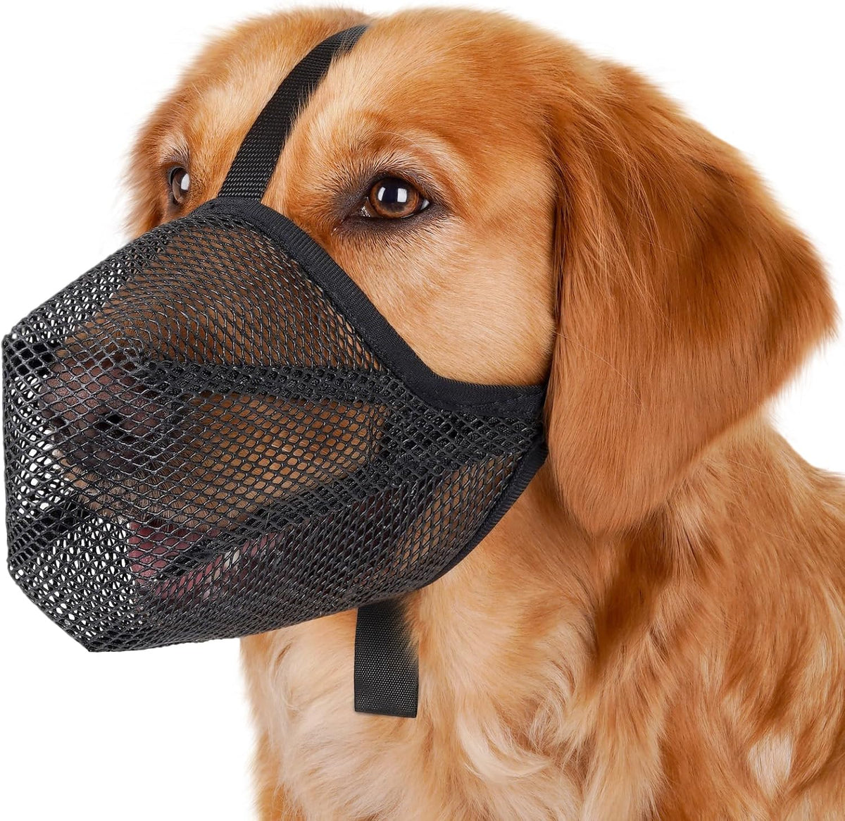 Mayerzon Soft Mesh Dog Muzzle for Small Medium Large Dogs Anti - Black / L [Snout Cir: 11"-12.25"]