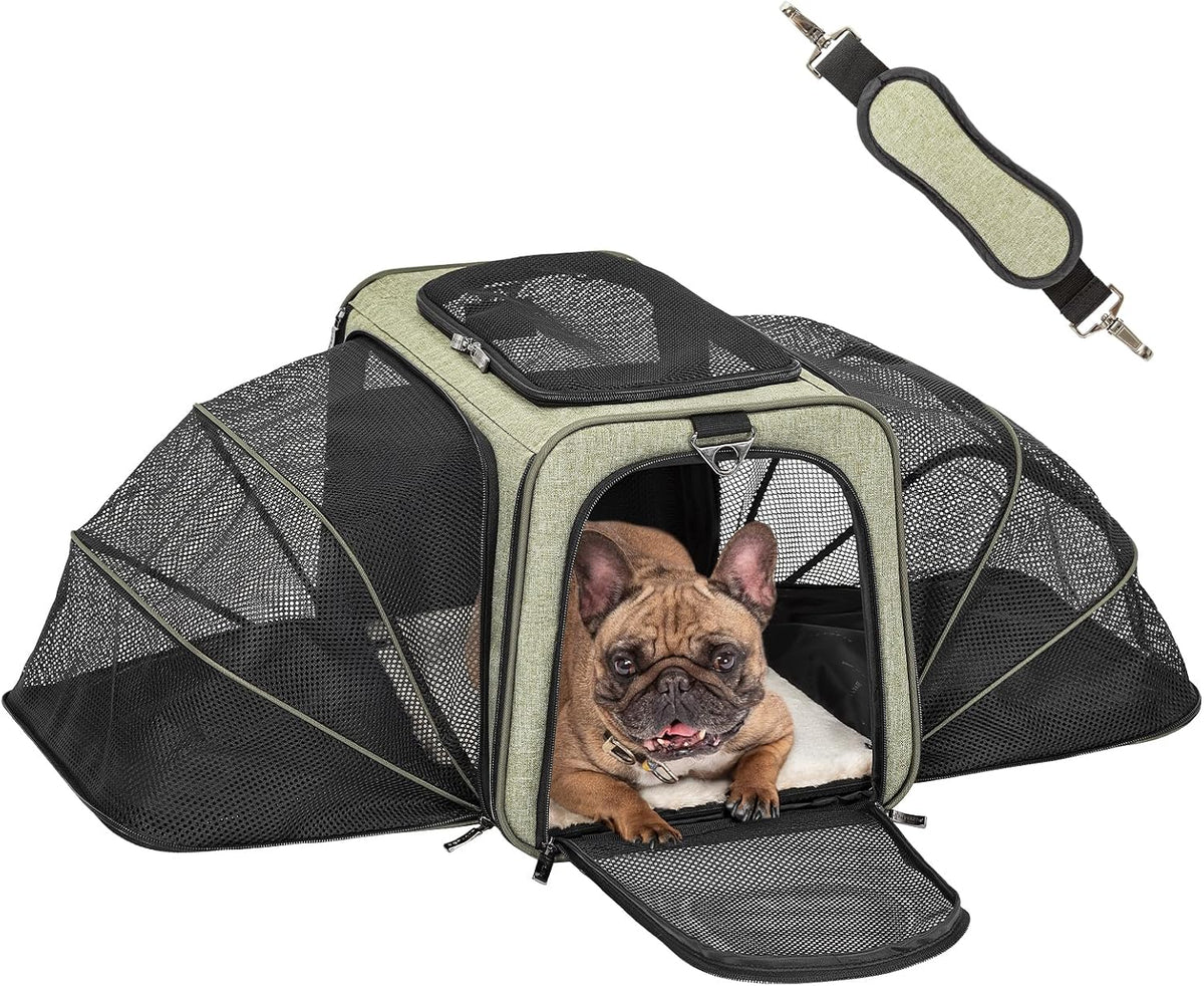 Petsfit Small Double Expandable Cat Carrier for Kittens and Air Travel – Essentials for Cats - 19.0"L x 12.0"W x 12.0"H / Green