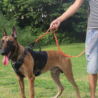 ICEFANG Tactical Dog Leash,K9 Training Walking Bungee Lead with 2 Control Handle,Heavy Duty Quick Release Metal Clasp,for Medium Large Breed (Reflective Orange, 6 FT)