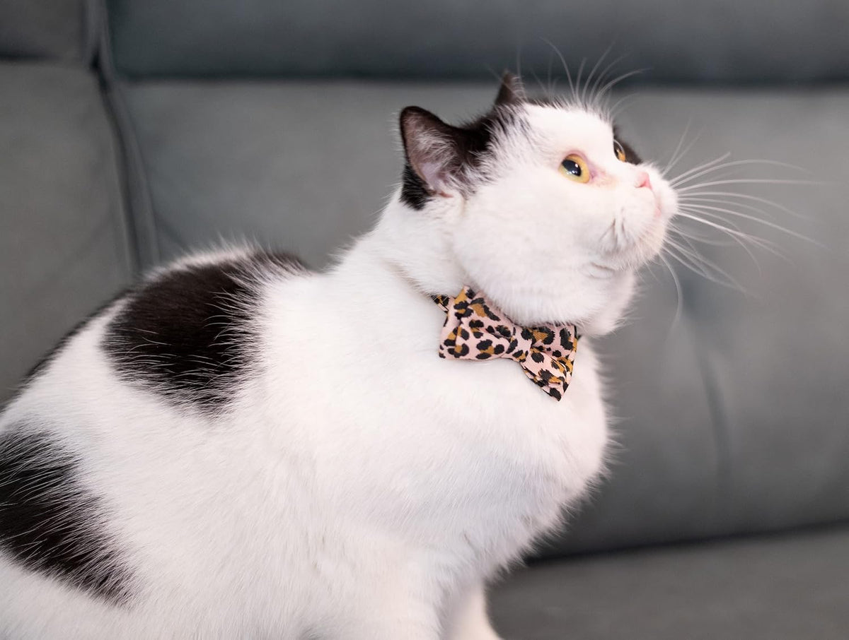 Collar for Cat Pet Breakaway with Bell Bowtie Detachable Bow - Leopard & Pure-Pink - image 4