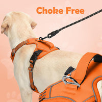 Funfox Dog Harness Medium Sized Dog - Orange / Small - image 4