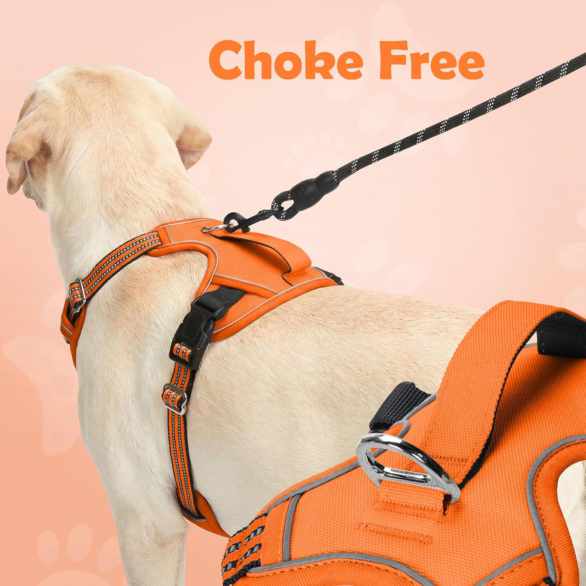 Funfox Dog Harness Medium Sized Dog - Orange / Small - image 4