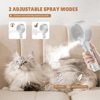 Cat Steam Brush,Cat Brushes for Indoor Cats, 4 In 1Spritz Spray Defur Comb, Cloud Care Shedding Control, Pet Grooming Brush for Long Short Hair Cats Dogs, Massage Clean Design Pet Steam Brushes