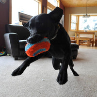 Chuckit! Indoor Fetch Ball Dog Toy, Orange and Blue - Orange & Blue Squirrel / 4.7 inches (12 Pack) - image 2