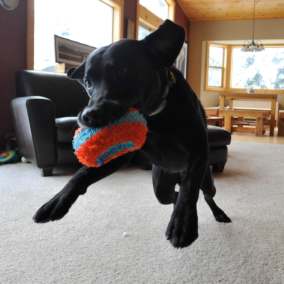 Chuckit! Indoor Fetch Ball Dog Toy, Orange and Blue - Orange & Blue Squirrel / 4.7 inches (12 Pack) - image 2