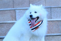 Halloween Dog Bandanas 2 Pack - 4th of July / X-Large - image 4