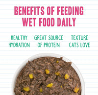 Weruva BFF Minced Natural Wet Cat Food, Tuna and Pumpkin Valentine in Gravy, 10oz Can, Pack of 12
