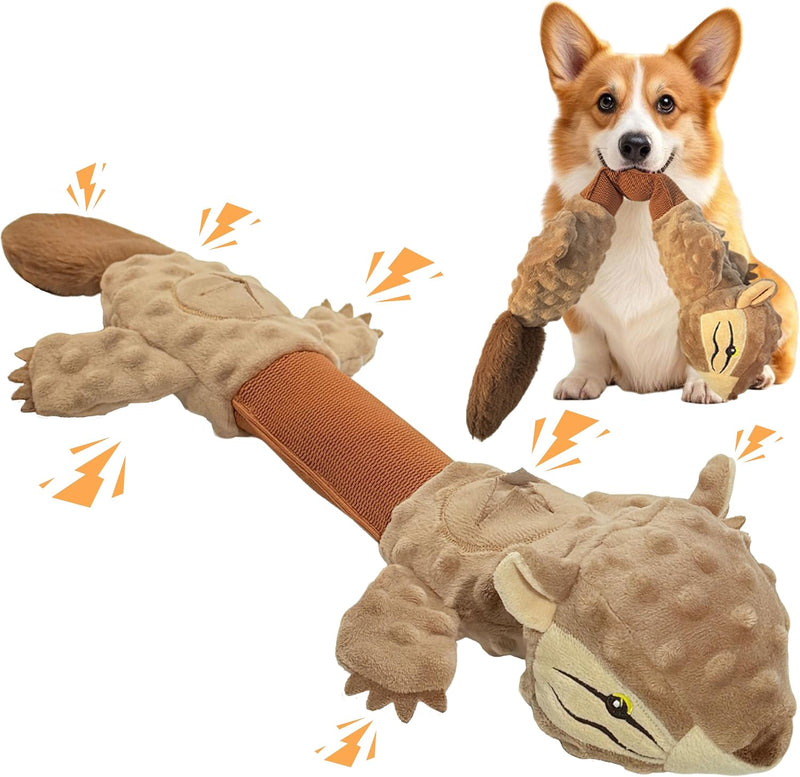 5 in 1 Squeaky Dog Toys for Tug of War