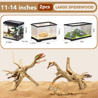 Natural Aquarium Driftwood for Fish Tank Reptile Terrariums Decor – Essentials for Fish - Spiderwood 11 to 14 Inch (Pack of 2) - image 2