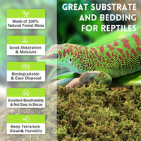 8 OZ Natural Sphagnum Moss for Reptiles - 30QT(1.3lb) - image 3