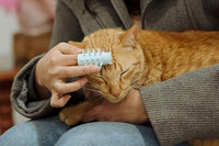 Furr&Purr Cat Brush, Scratcher, and Massager - Indoor Cat Calming Care with Face Scratcher, Finger Brush (3-Pack, Made in USA)
