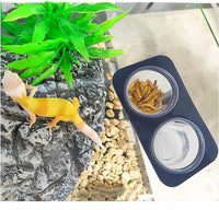Lizard Crested Gecko Food Water Feeding Cups - 200 cups - image 2