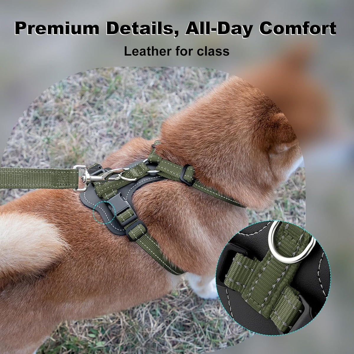 Plutus Pet No Pull Dog Harness with Leather Accents - S / Ranger Green - image 2