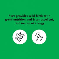 C&S Sunflower Suet Nuggets, Suet Nuggets for Wild Birds, 8 Lbs