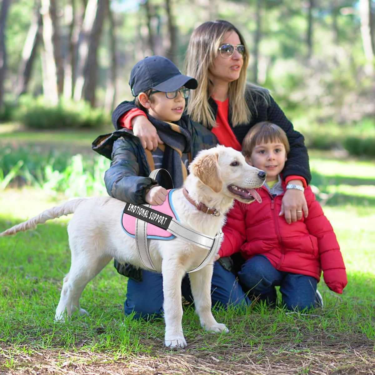 voopet Service Dog Harness, Emotional Support Pet Vest Harness - XX-Small (Pack of 1) / Blue_Pink - image 4