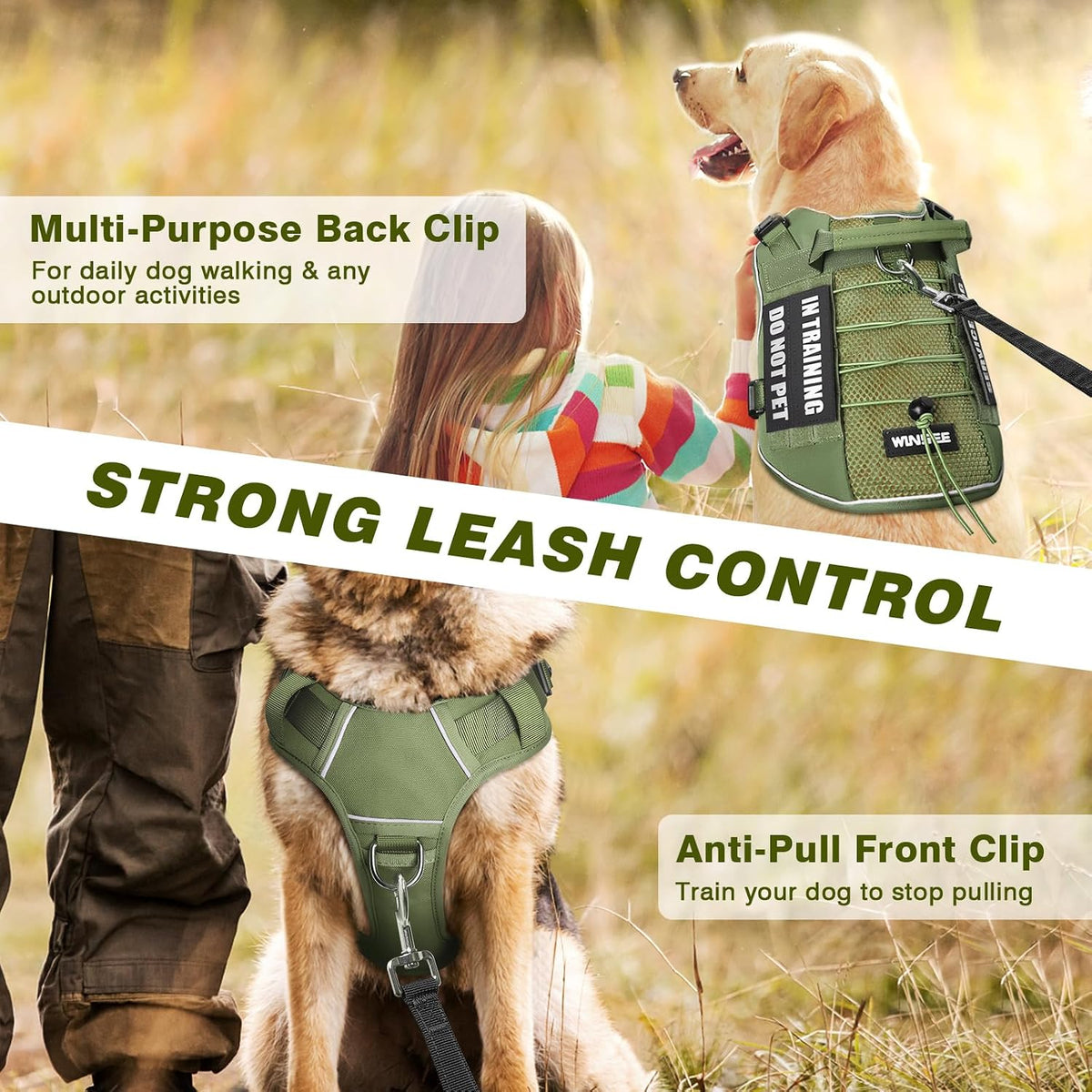 WINSEE Service Dog in Training Mesh Harness with 10 Removale Pet - Large / Green - image 3