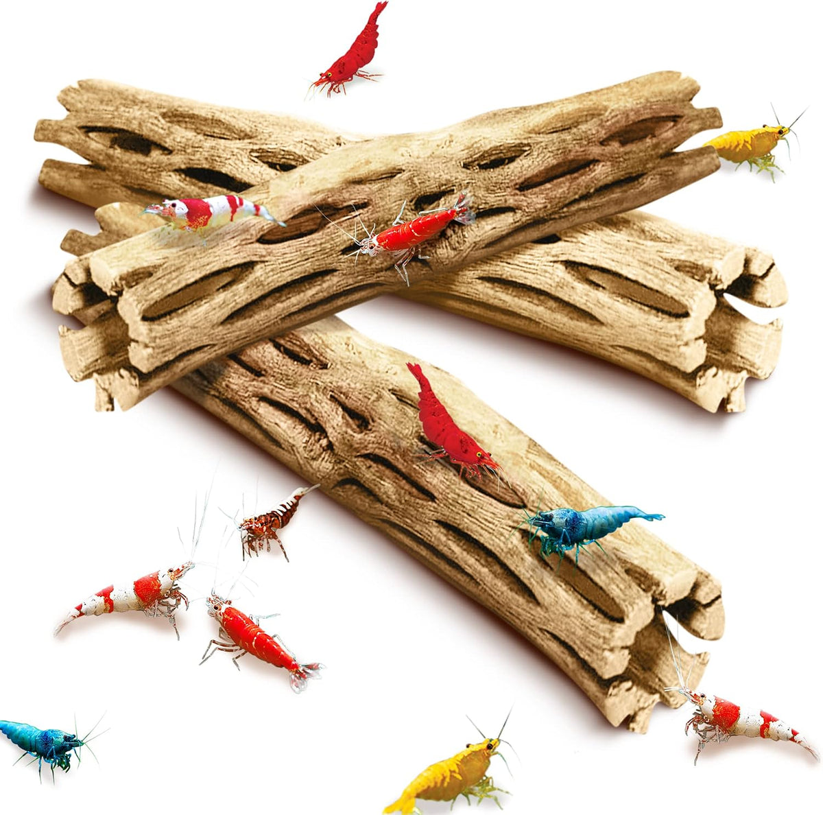 SunGrow 3 Pack Shrimp Cholla Wood - 3 Pieces