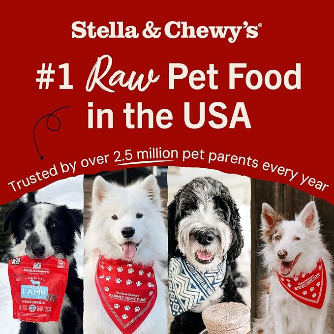 Stella & Chewy's Freeze-Dried Raw Dinner Patties - Dandy Lamb Recipe - High Protein Grain-Free Puppy & Dog Food - Perfect For Picky Eaters - 5.5 oz