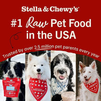 Stella & Chewy's Freeze-Dried Raw Dinner Patties - Beef Recipe - High Protein Grain-Free Puppy & Dog Food - Perfect For Picky Eaters - 14 oz