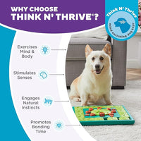 Outward Hound by Nina Ottosson Multipuzzle Level 4 Expert Dog Treat Puzzle for Enrichment, Blue