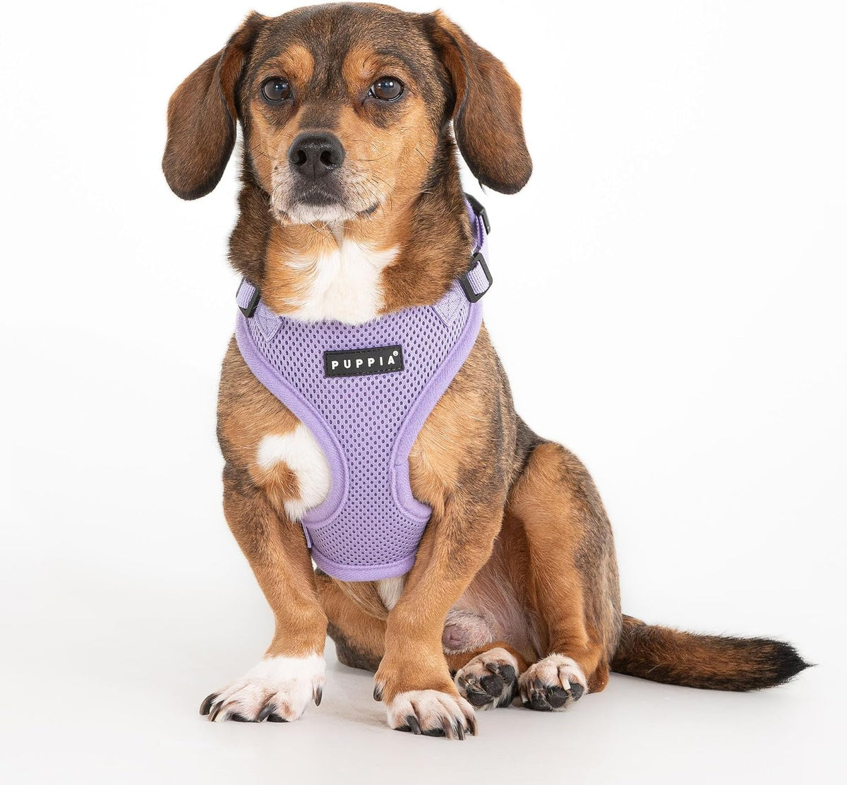 Authentic Puppia RiteFit Harness with Adjustable Neck - Violet / X-Large - image 3