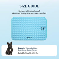 MICROCOSMOS Summer Cooling Mat & Sleeping Pad - 28" x 22" / Blue - image 2
