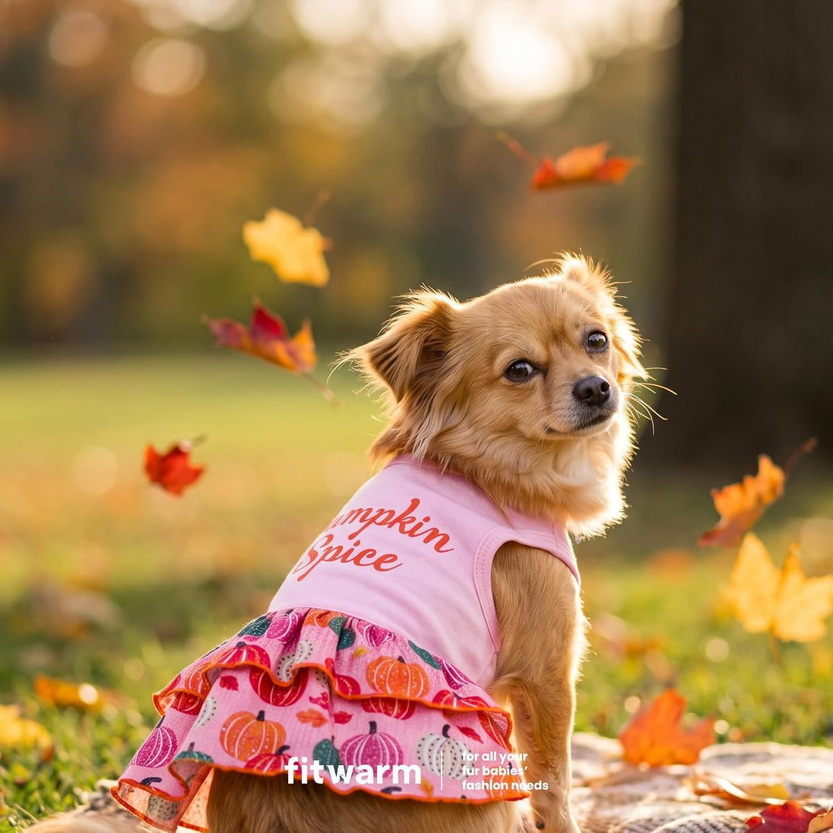 Fitwarm Halloween Pumpkin Dog Dress - Small / Pumpkin Spice - image 4