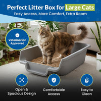 KittyGoHere Senior Cat Litter Box Jumbo Low Entry Open Top - Misty Gray / Jumbo - image 2