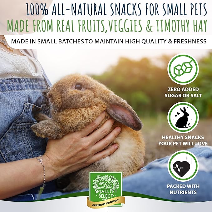 Small Pet Select Healthy Snackers Mini Cookies- Apple Banana, 2 oz (Pack of 2)
