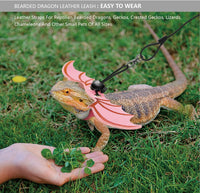 Bearded Dragon Leash and Harness Set, Beardie Carrier - Pink - image 2