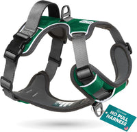 Embark No Pull Dog Harness, Reflective Adjustable Training Vest - S / Green