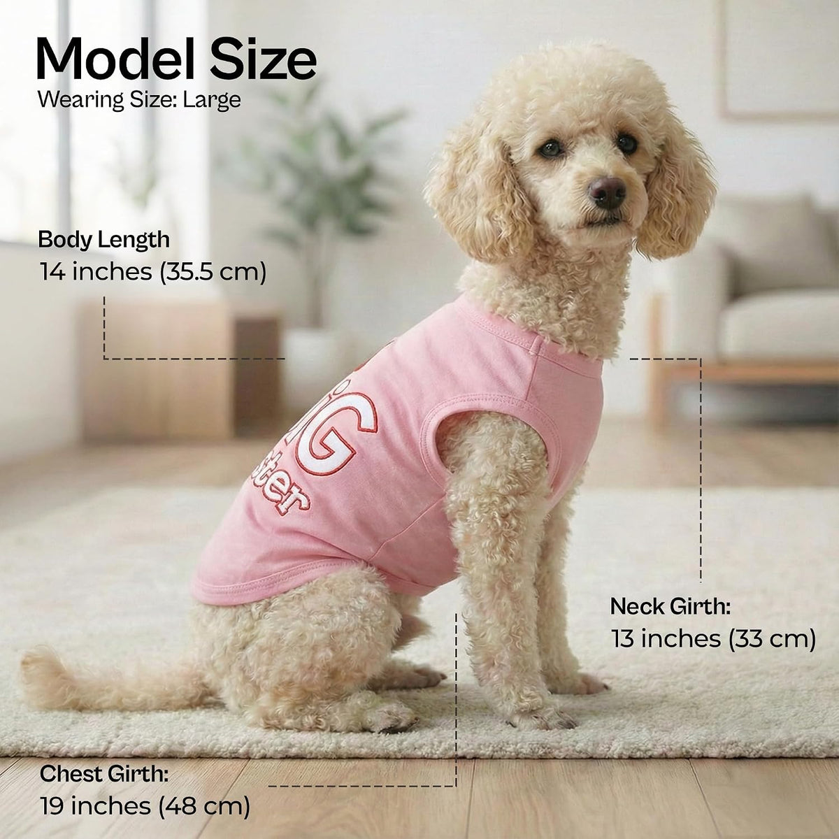 Parisian Pet Dog Shirt, 100% Cotton Shirts for Medium Dogs - Big Sister / Large (12-18lbs) - image 3