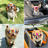 Dog Goggles for Small Breeds - Small / Pink - image 2