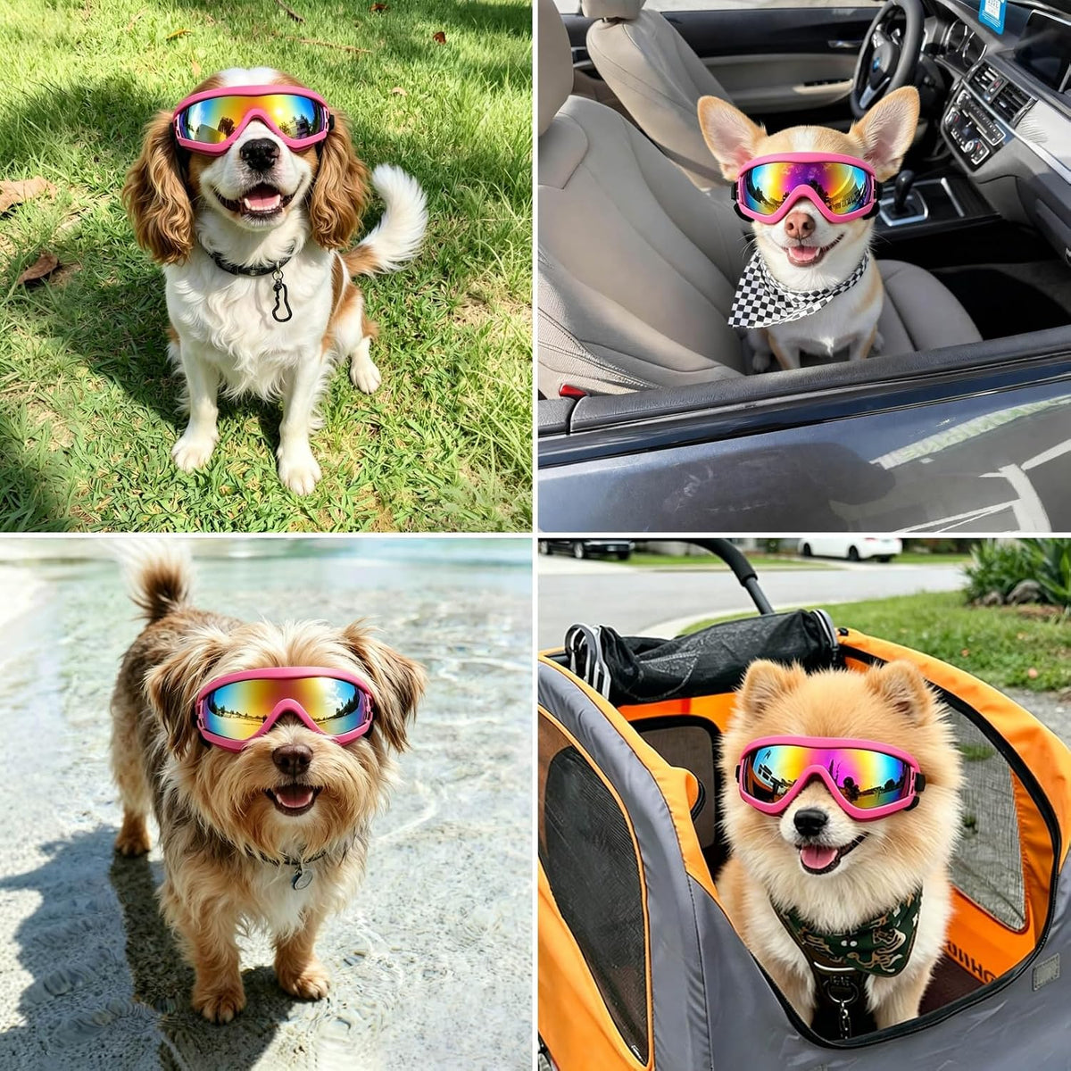 Dog Goggles for Small Breeds - Small / Pink - image 2