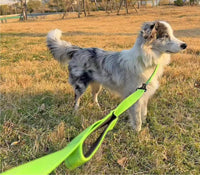 3 Handle Dog Leash 10FT Triple Handle Reflective Large Medium Dogs – Essentials for Dogs - Green - image 4