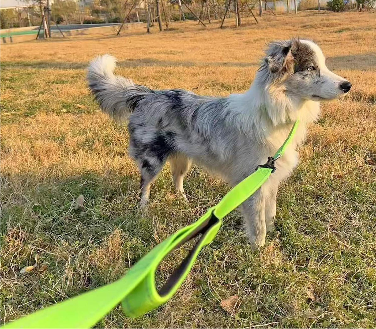 3 Handle Dog Leash 10FT Triple Handle Reflective Large Medium Dogs – Essentials for Dogs - Green - image 4