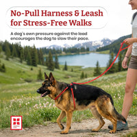 Harness Lead Escape Resistant, Reduces Pull Dog Harness - Blue/Multi / Medium/Large (40-120 lbs) - image 2