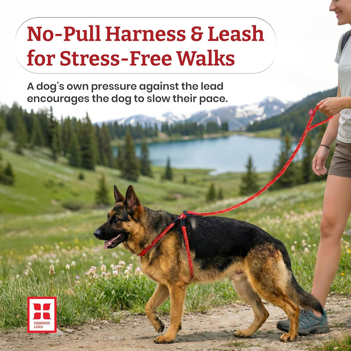 Harness Lead Escape Resistant, Reduces Pull Dog Harness - Blue/Multi / Medium/Large (40-120 lbs) - image 2