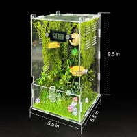 Jumping Spider Enclosure, DIY Insects Habitat - Forest - image 2