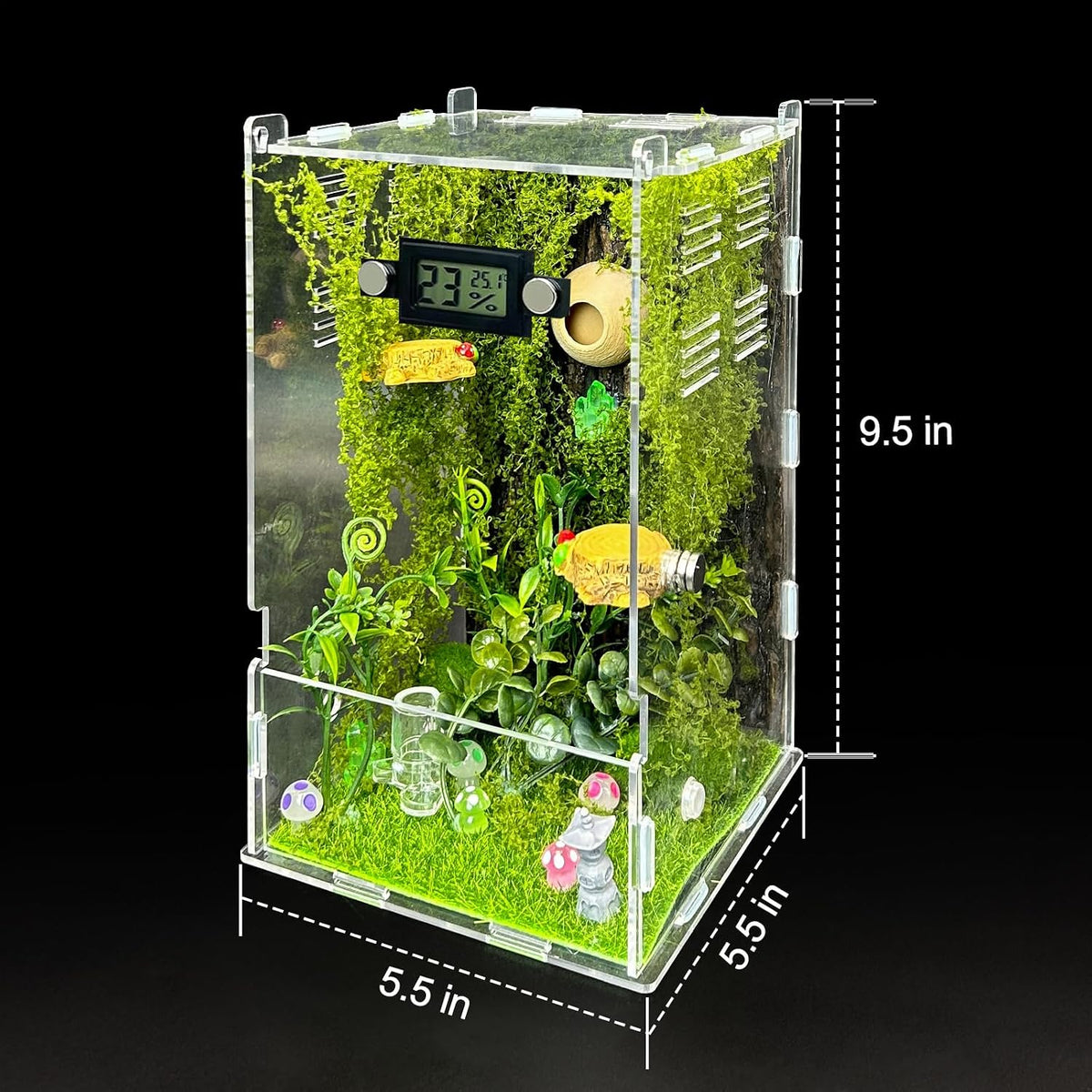 Jumping Spider Enclosure, DIY Insects Habitat - Forest - image 2