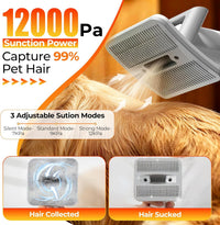 Dog Grooming Vacuum Kit with Clippers, 12000Pa Strong Suction - Gray - image 4