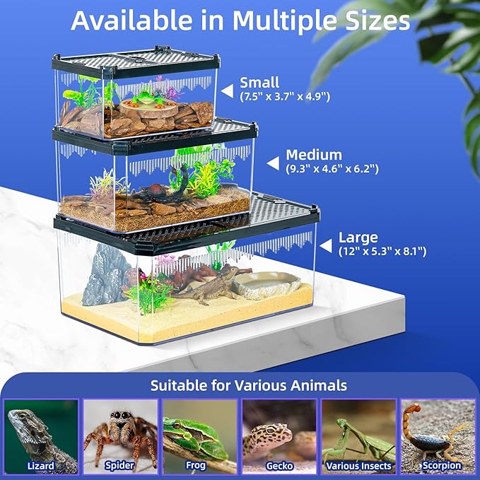 High-Transparency Reptile & Insect Enclosure Terrarium with Magnetic Door, Excellent Ventilation, Easy Cleaning, and Strong, Long-Lasting Build for Gecko, Tarantula, Hermit Crab (12x8.1x5.3 Inch)