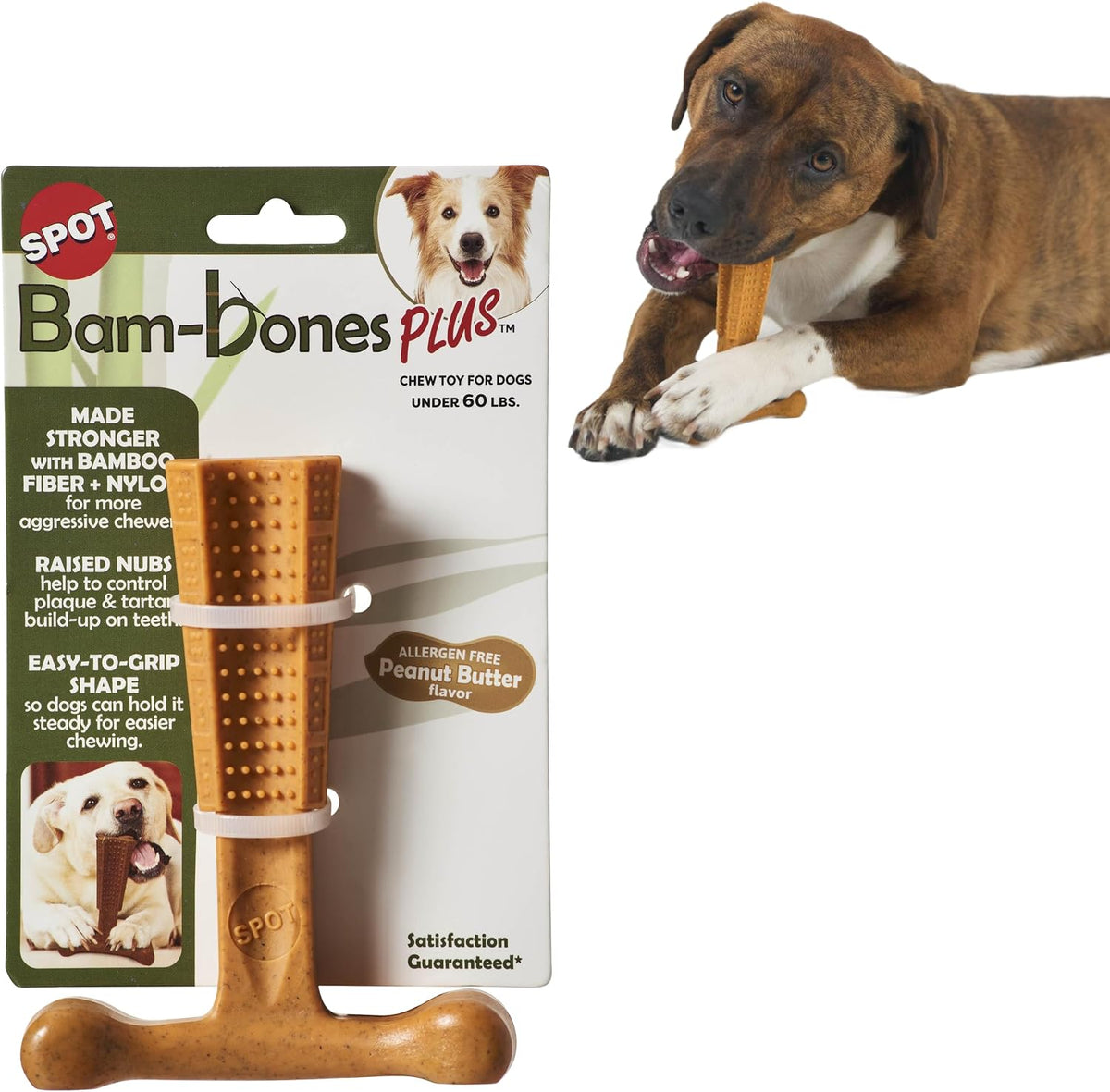 SPOT Bam-Bones Plus T-Bone Dog Chew - Peanut Butter / Medium