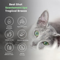 Best Shot Scentament Spa Seasonal Body and Facial Wash, Tearless Shampoo, Hypoallergenic Body Wash, Removes Tear Stains, Tropical Breeze, 16 Oz.