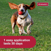 K9 Advantix II Medium Dog Vet-Recommended Flea, Tick & Mosquito Treatment & Prevention | Dogs 11-20 lbs. | 6-Mo Supply