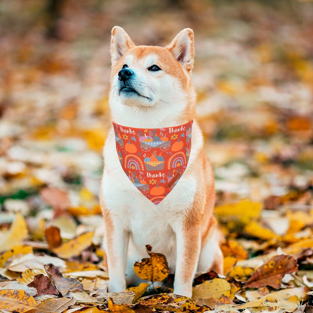 ADOGGYGO Pink Halloween Dog Bandanas Girl - Large / Thanksgiving - image 2