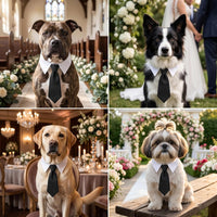 ADOGGYGO Fall Dog Neck Tie - Medium / Black - image 2