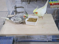 15.7×10.4 Inches Large Bird Perch Stand Platform - 15.7 × 10.4 Inches Natural - image 3